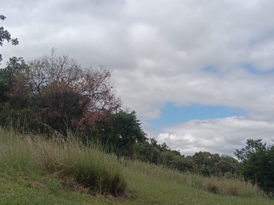 Commercial Property for Sale in Hartbeesfontein North West